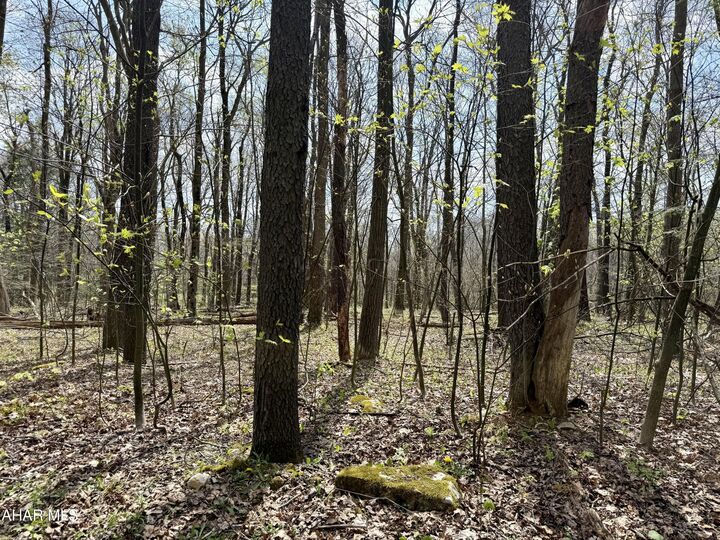 Property Photo:  Lot 13 Timerman Road  PA 16625 