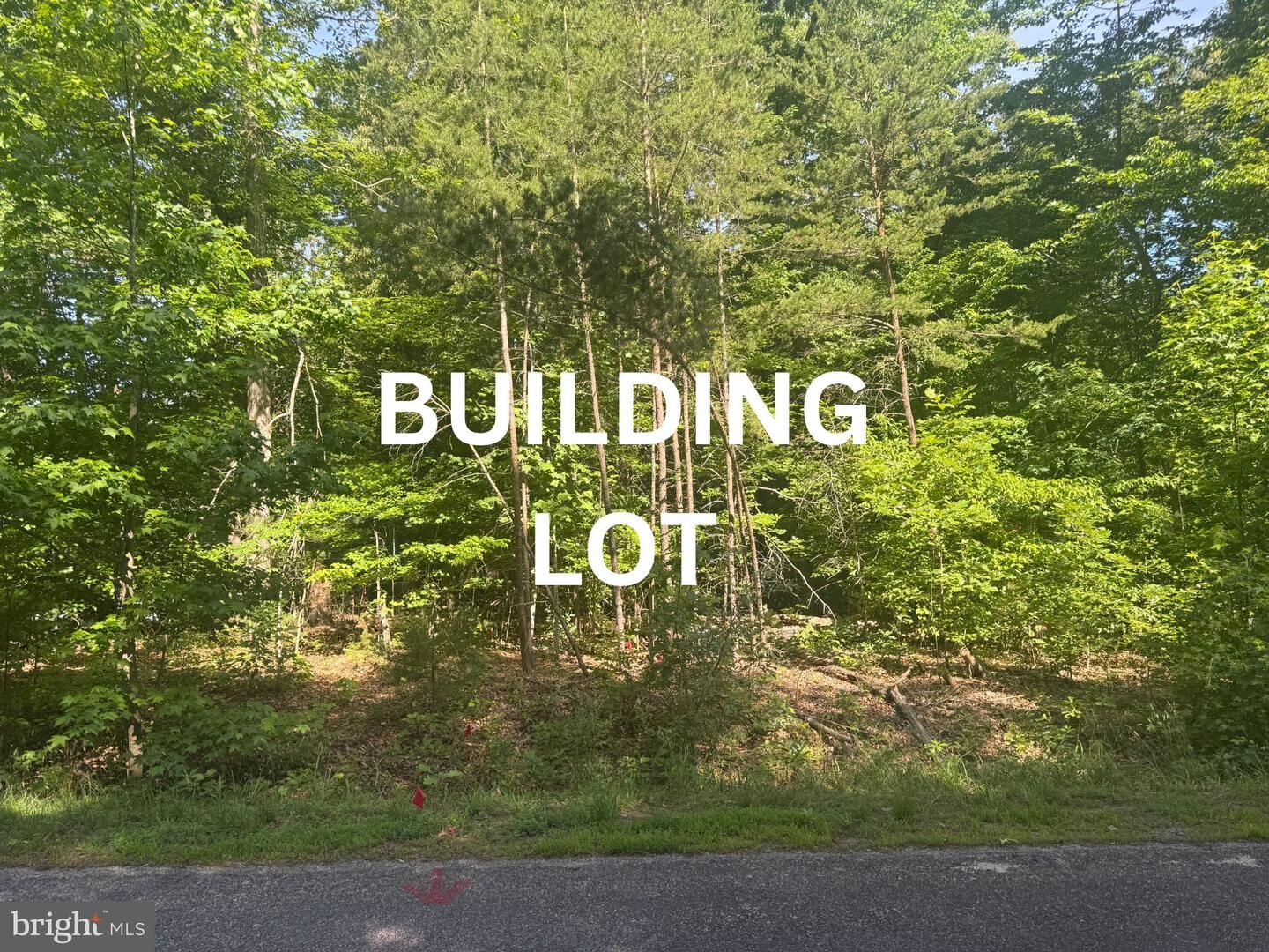 Property Photo:  6200 Bills Road  VA 23117 