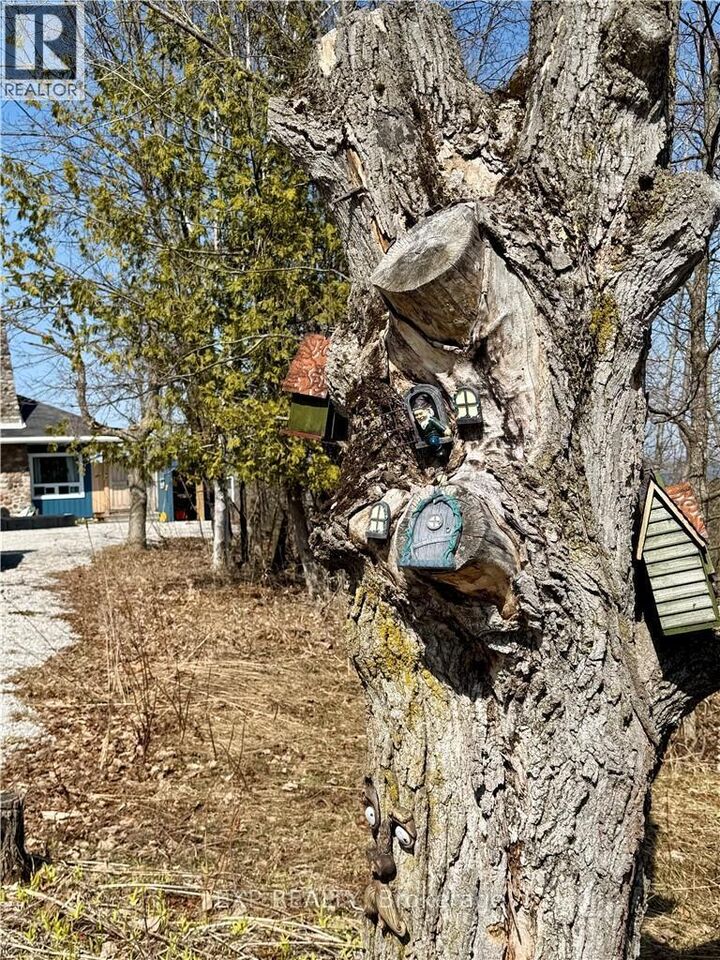 Property Photo:  50 Scotts Bluff  ON P0P 1E0 