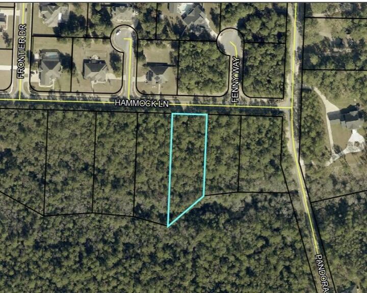 Property Photo:  2468 Hammock Lane  FL 32536 