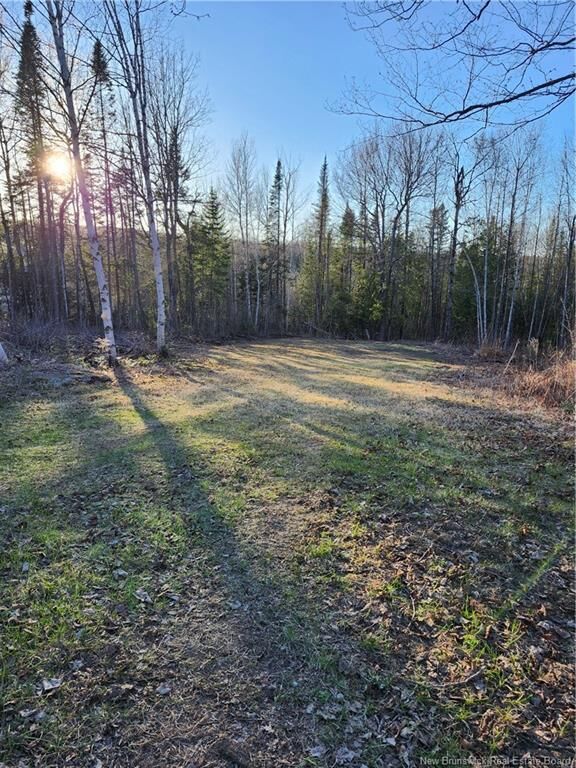 Property Photo:  Lot 88-72 Willow Street  NB E7M 4G3 