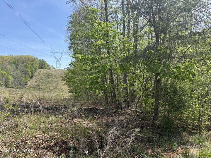 Property Photo:  0 T Rd  TN 38574 