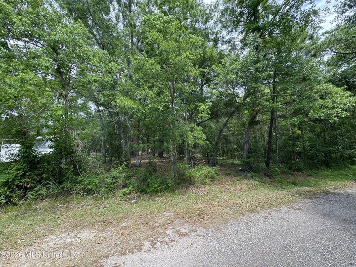 Property Photo:  0 Dicks Street  MS 39576 