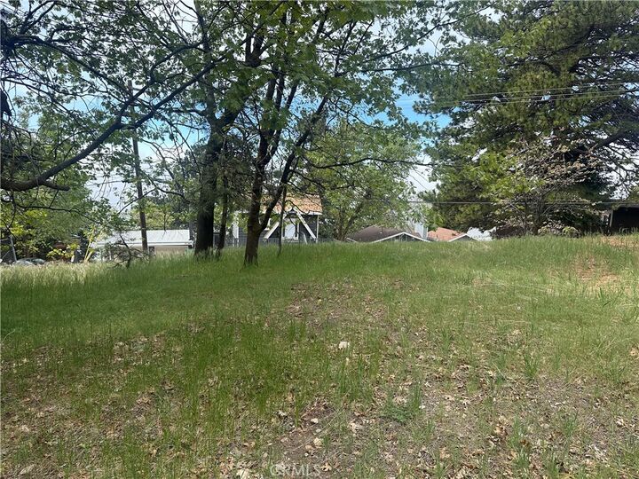 Property Photo:  0 Deer Lick Lane  CA 92382 