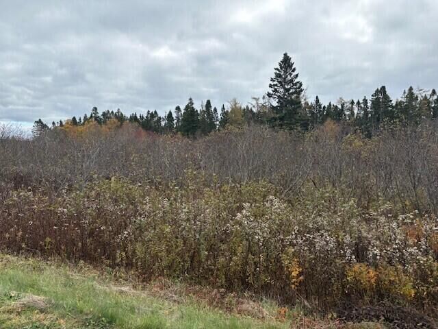 Property Photo:  0 Boot Cove Road  ME 04652 