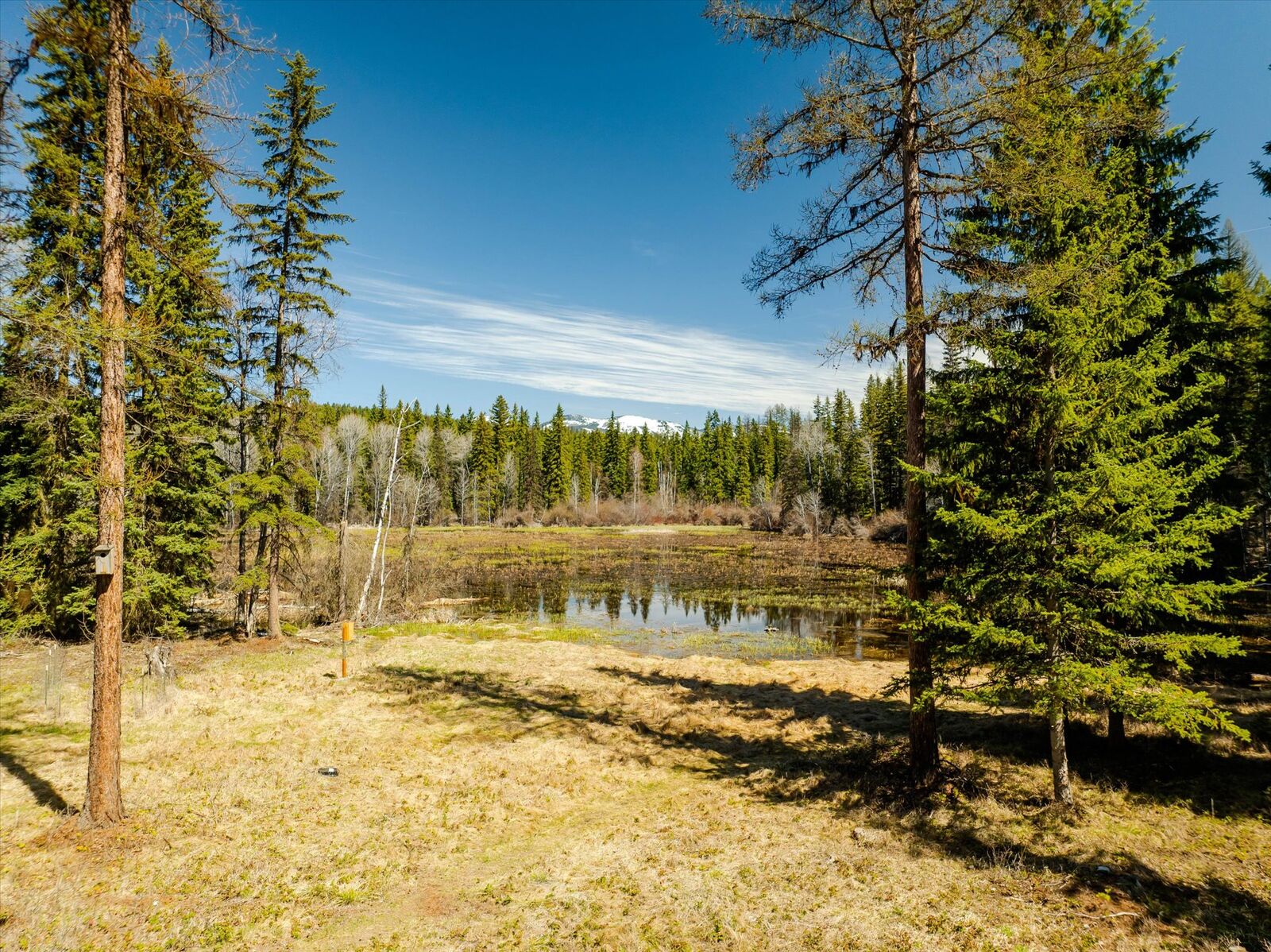 Property Photo:  675 Beaver Lake Road  MT 59937 