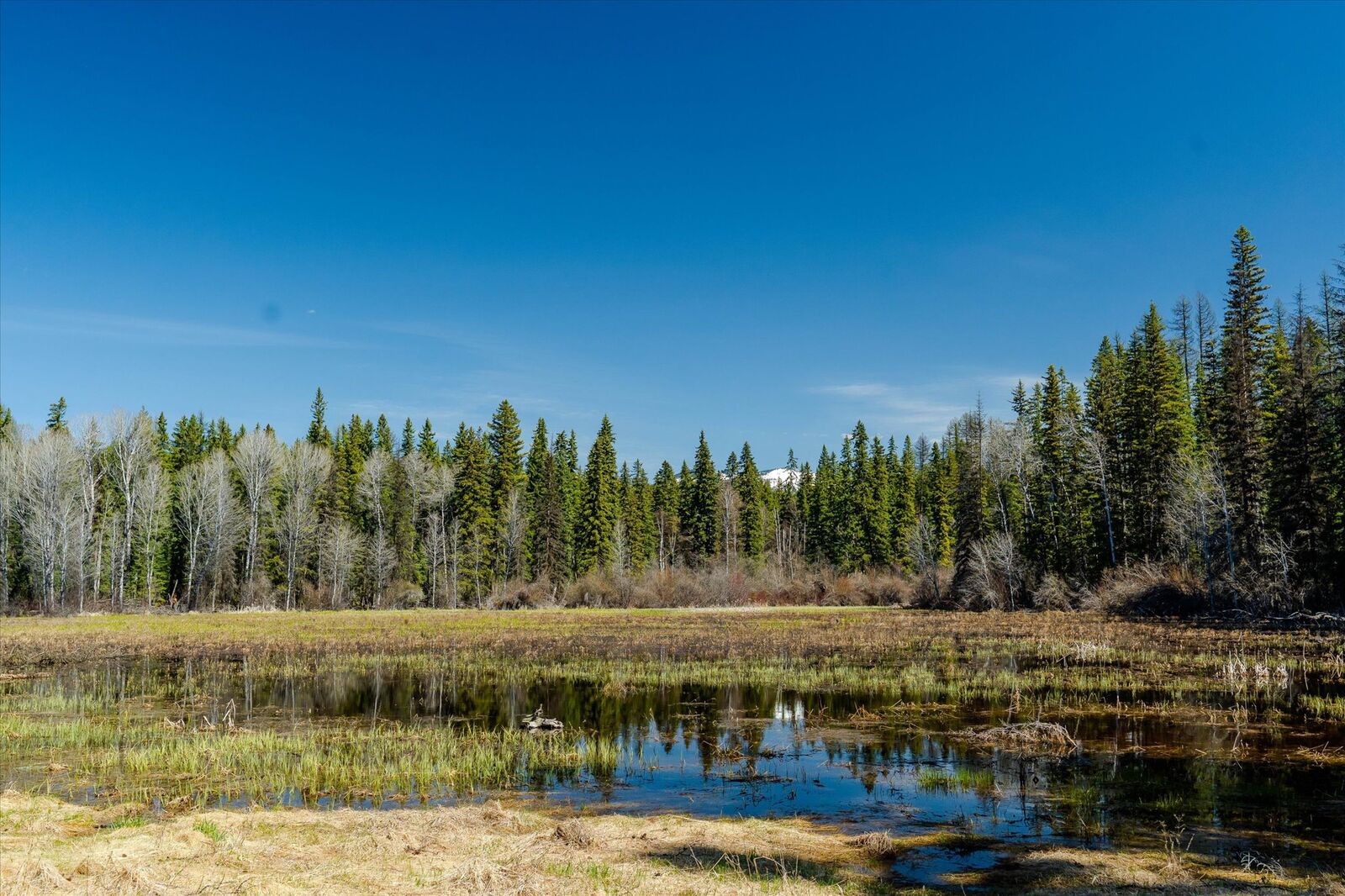 Property Photo: 675 Beaver Lake Road MT 59937