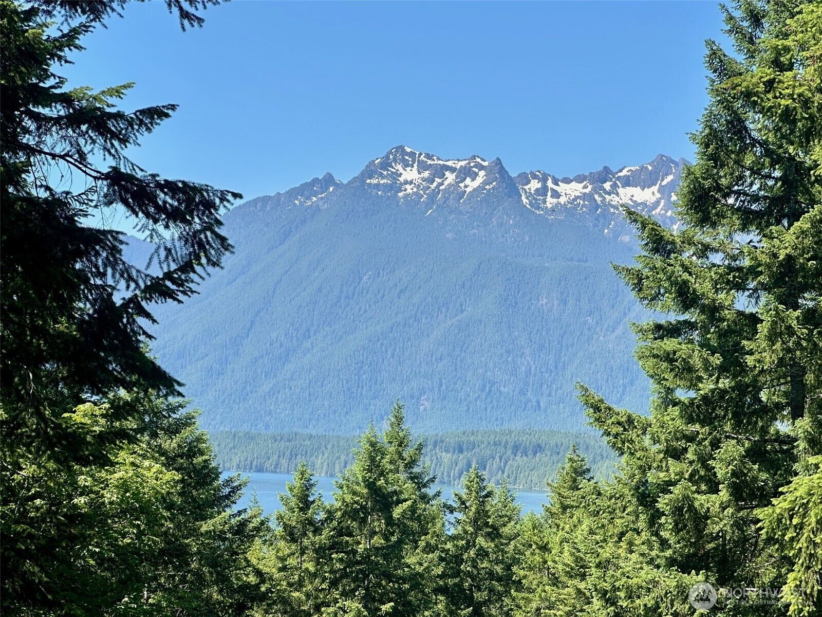 Property Photo:  5154 N Lake Cushman Road  WA 98548 
