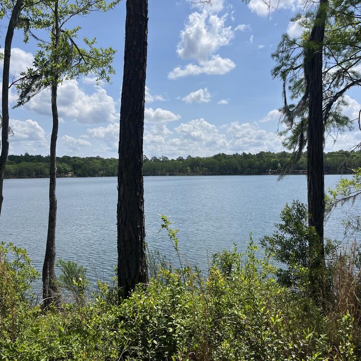 Property Photo:  Tbd Blue Pond Circle Circle  FL 32455 