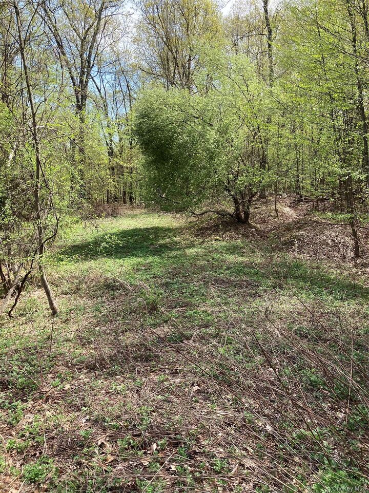 Property Photo: Canterbury Drive NY 12550