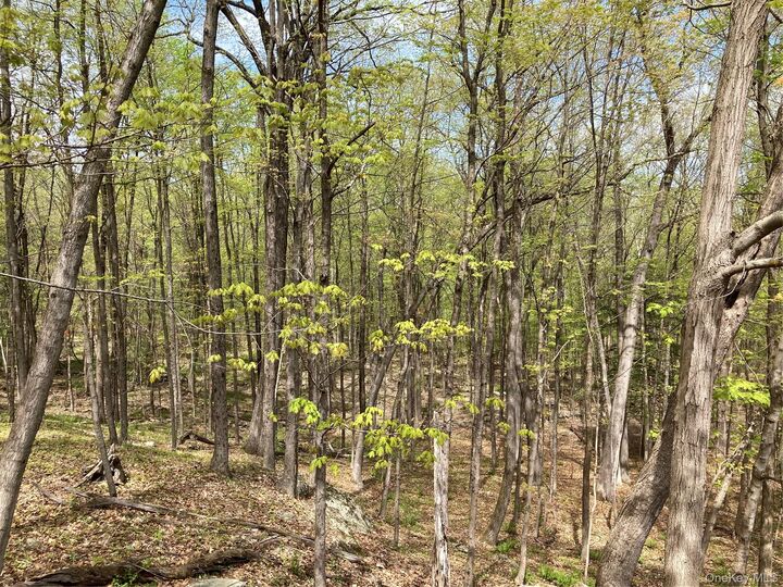 Property Photo:  Canterbury Drive  NY 12550 