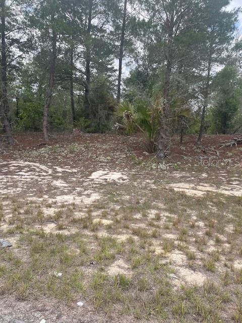Property Photo:  1342 Homosassa Drive  FL 34759 