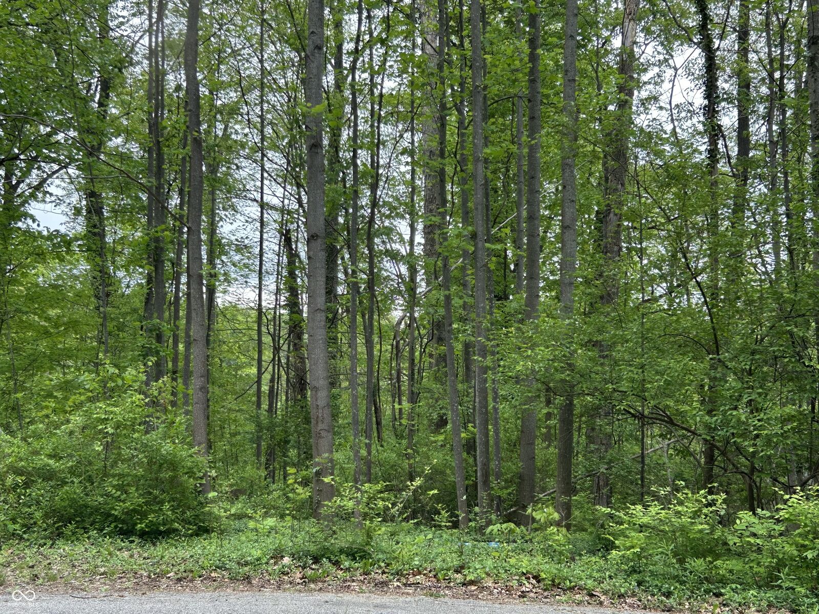 Property Photo: 00 Ruby Lane IN 46164