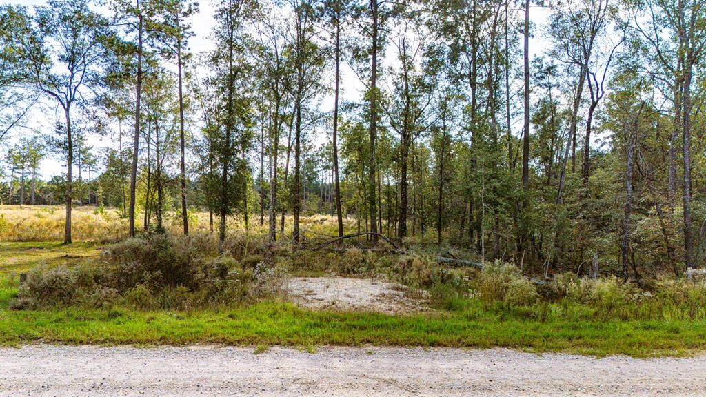 Property Photo:  922 Rolling Pines Drive  TX 77351 