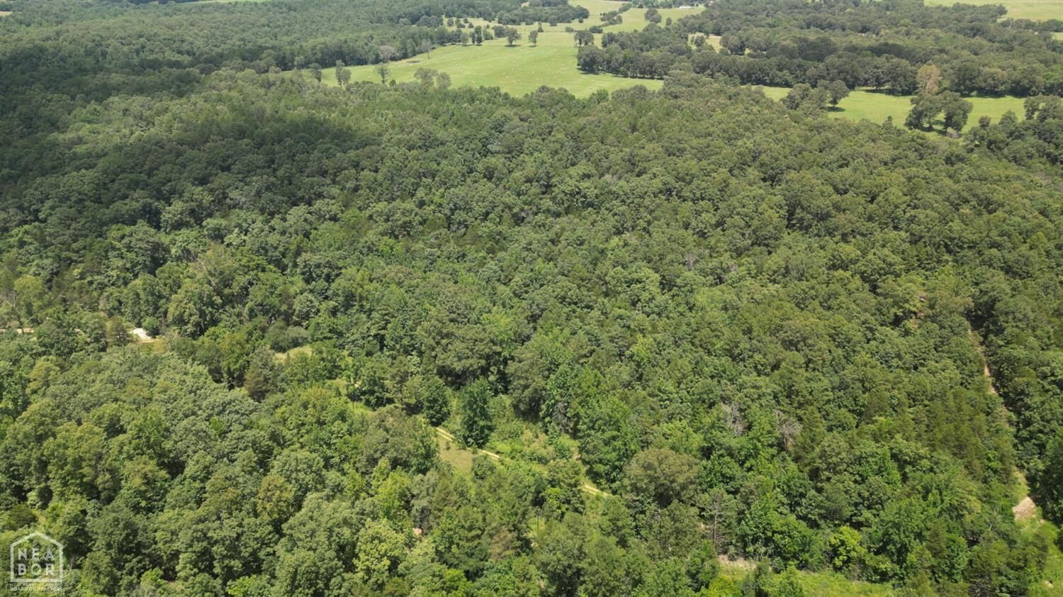 Property Photo:  881 Driftwood Drive  AR 72566 