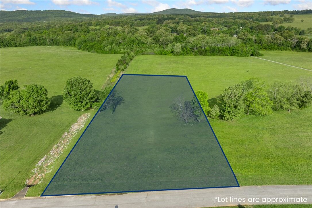 Property Photo:  Lot 25 A & B Savannah Drive  AR 72601 