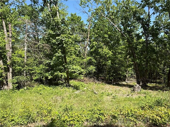 Property Photo:  36 Venus Avenue  AR 72631 