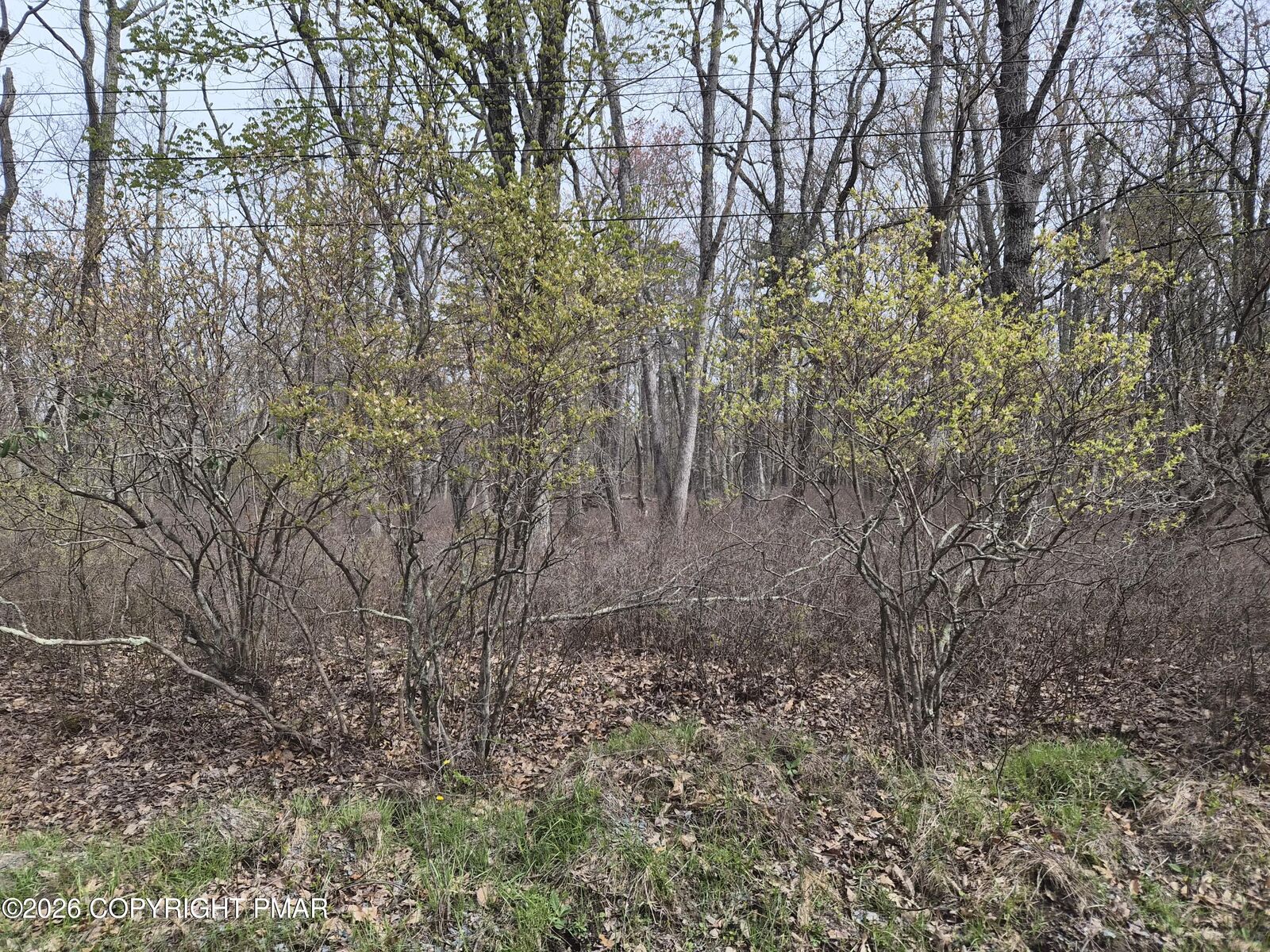 Property Photo:  Lot 20 Big Oak Road  PA 18325 