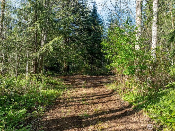 Property Photo: 0 Davis Lake Road WA 98356