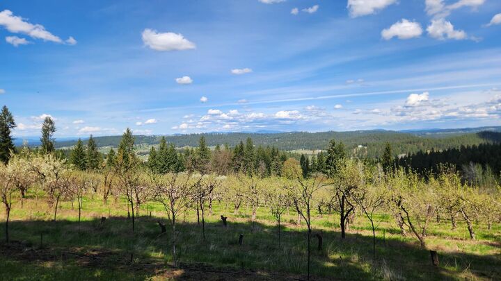 Property Photo:  Xxxx Woolard Rd  WA 99005 