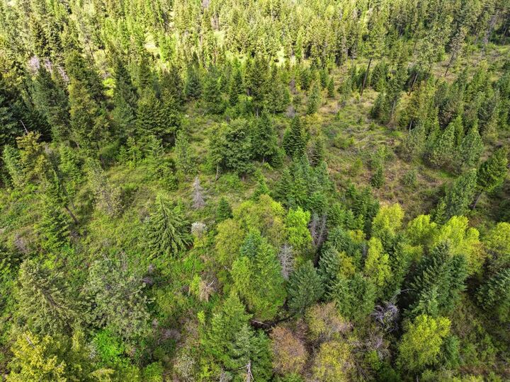 Property Photo:  Xxxx Woolard Rd  WA 99005 