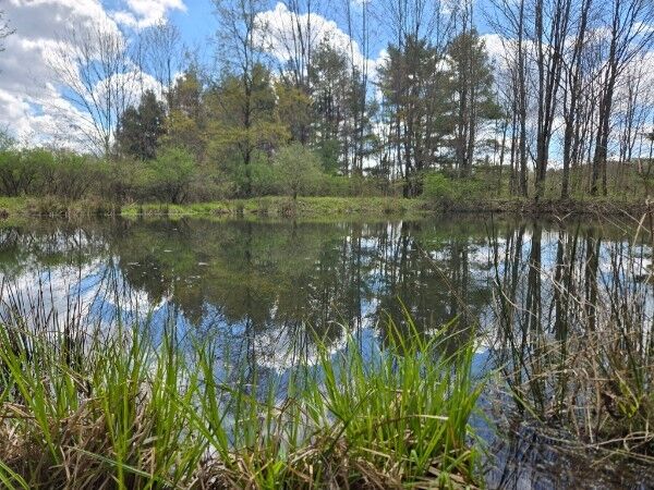 Property Photo:  143 Swift Road  NY 13905 