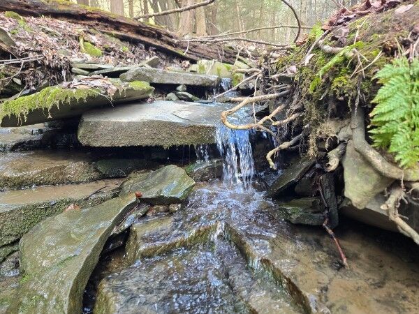 Property Photo:  143 Swift Road  NY 13905 