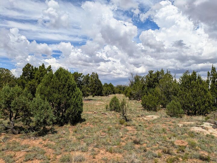 Property Photo:  8384 Haven Crest Drive  AZ 86024 