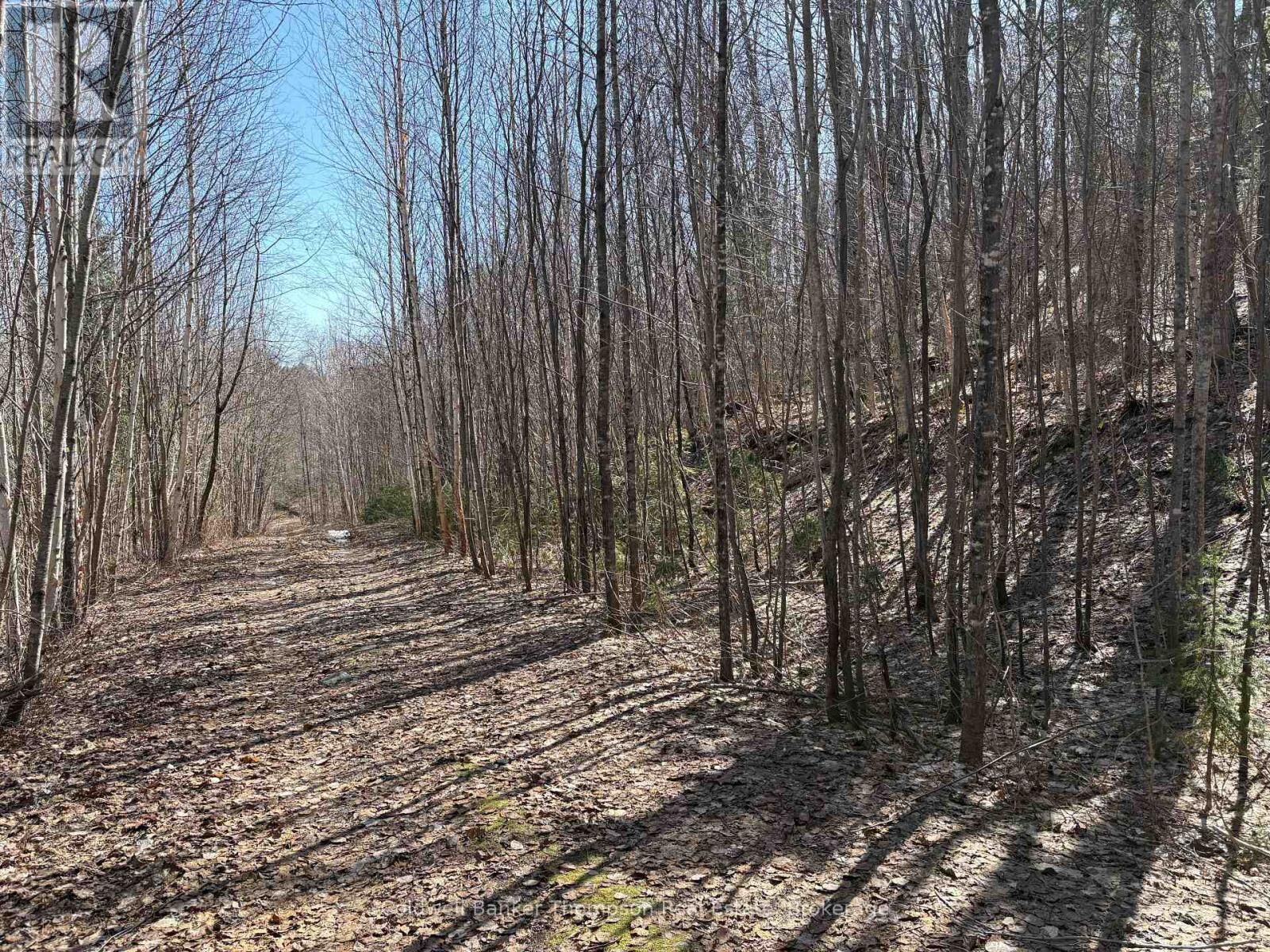 Property Photo:  0 Hamilton Lake Road  ON P0A 1X0 