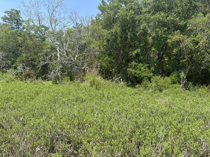 Property Photo:  2035 Sol Legare Road  SC 29412 