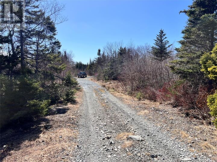 Property Photo:  Lot 13 Whiskey Hill  NL A0A 3V0 