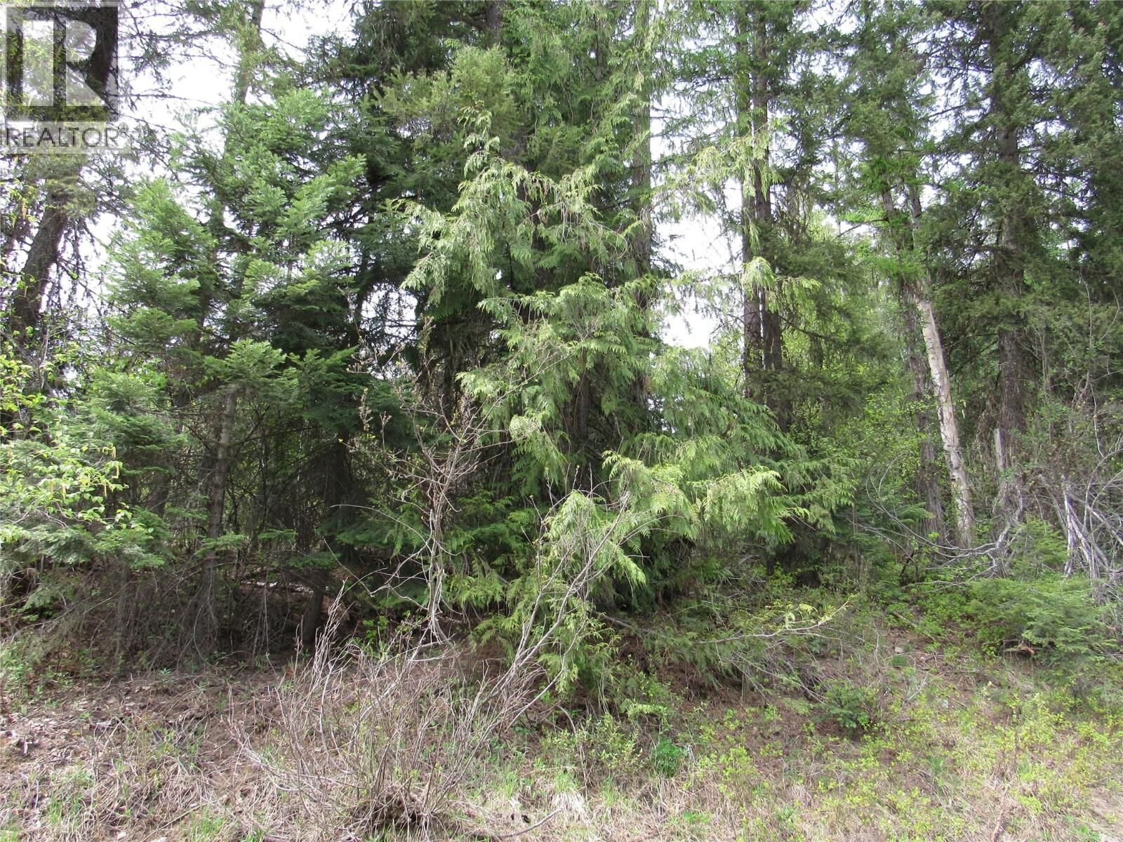 Property Photo:  Lot 6 Thompson Road  BC V0G 2G3 