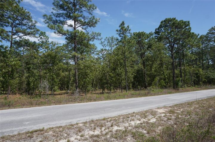 Property Photo:  Tbd NW Tree Top Road  FL 34431 