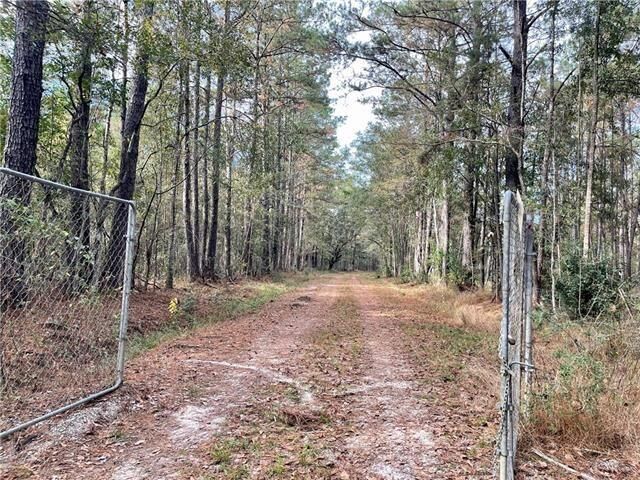 Property Photo:  37285 Dummyline Road  LA 70452 