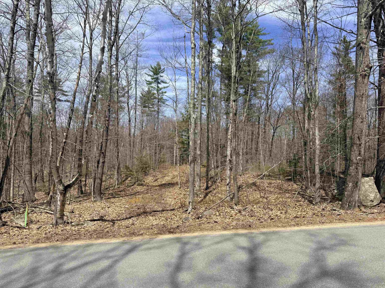 Property Photo:  Map 208 Lot 8-1 Baptist Hill Road  NH 03224 