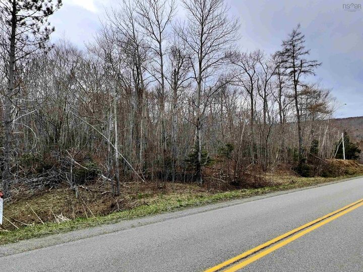 Property Photo:  Lot Bm-1 Marble Mountain Road  NS B0E 3K0 