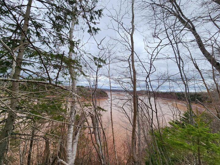 Property Photo:  Lot Highway 215  NS B0N 1T0 
