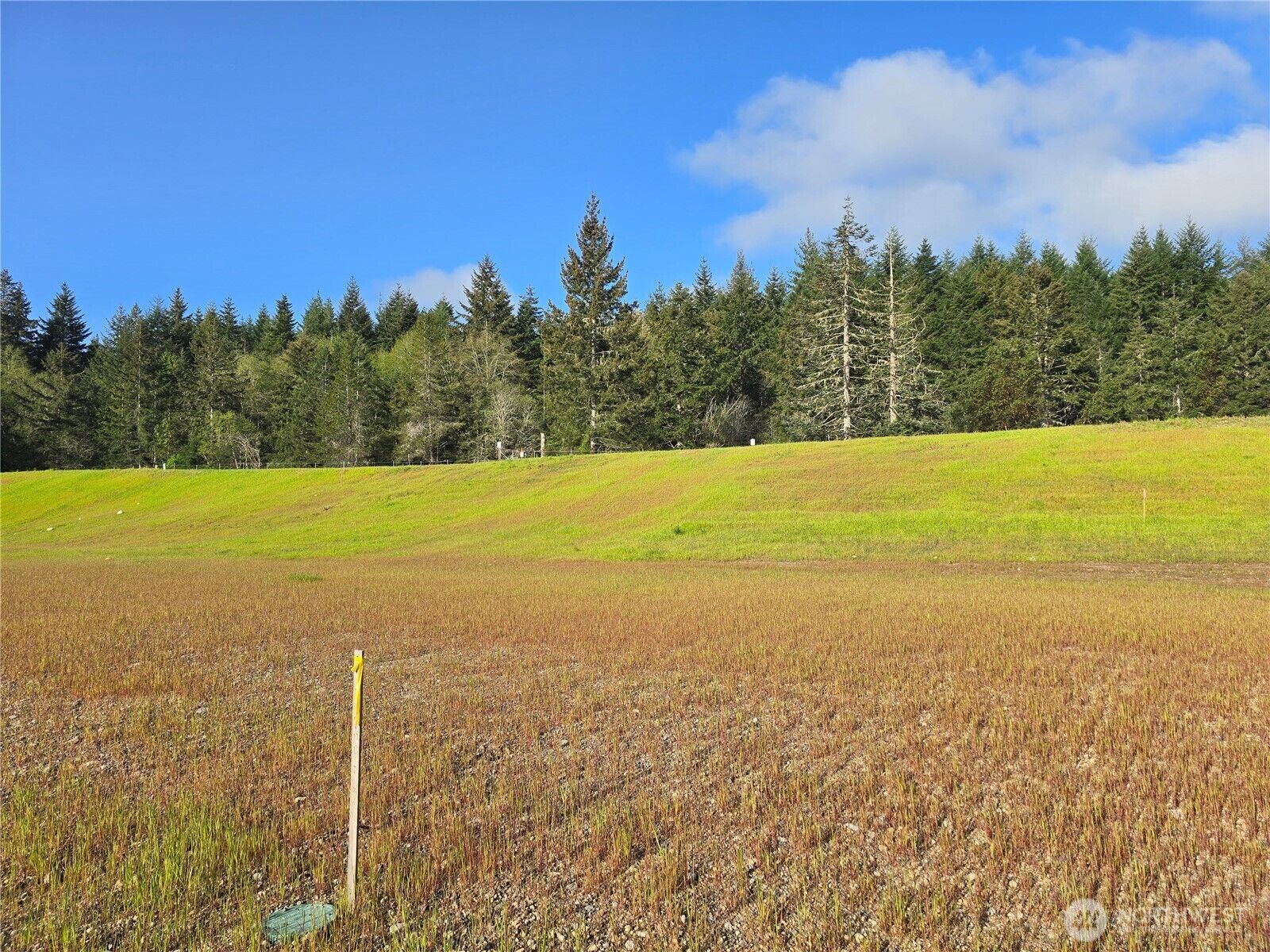 Property Photo:  61 E Virgil Drive W  WA 98524 