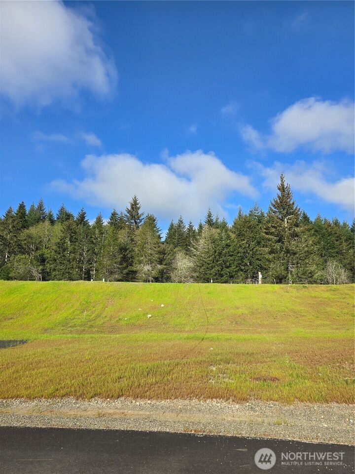 Property Photo:  41 E Virgil Drive W  WA 98524 