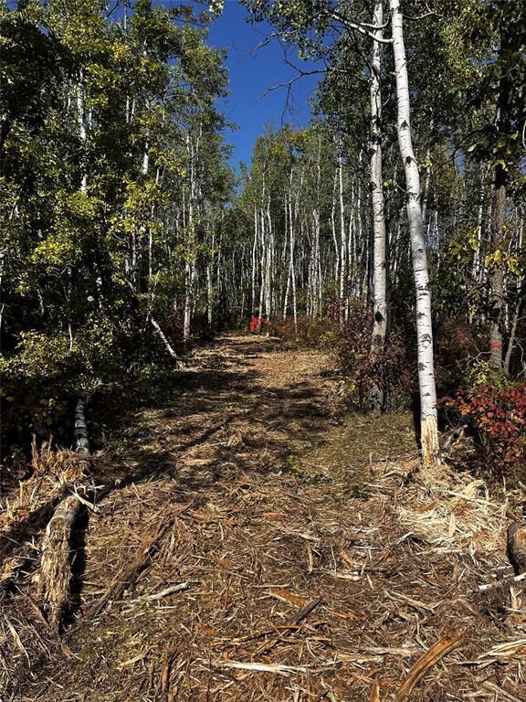 Photo de la propriété:  40127 Rosentreter Mile 69 Road  MB R0E 0C0 