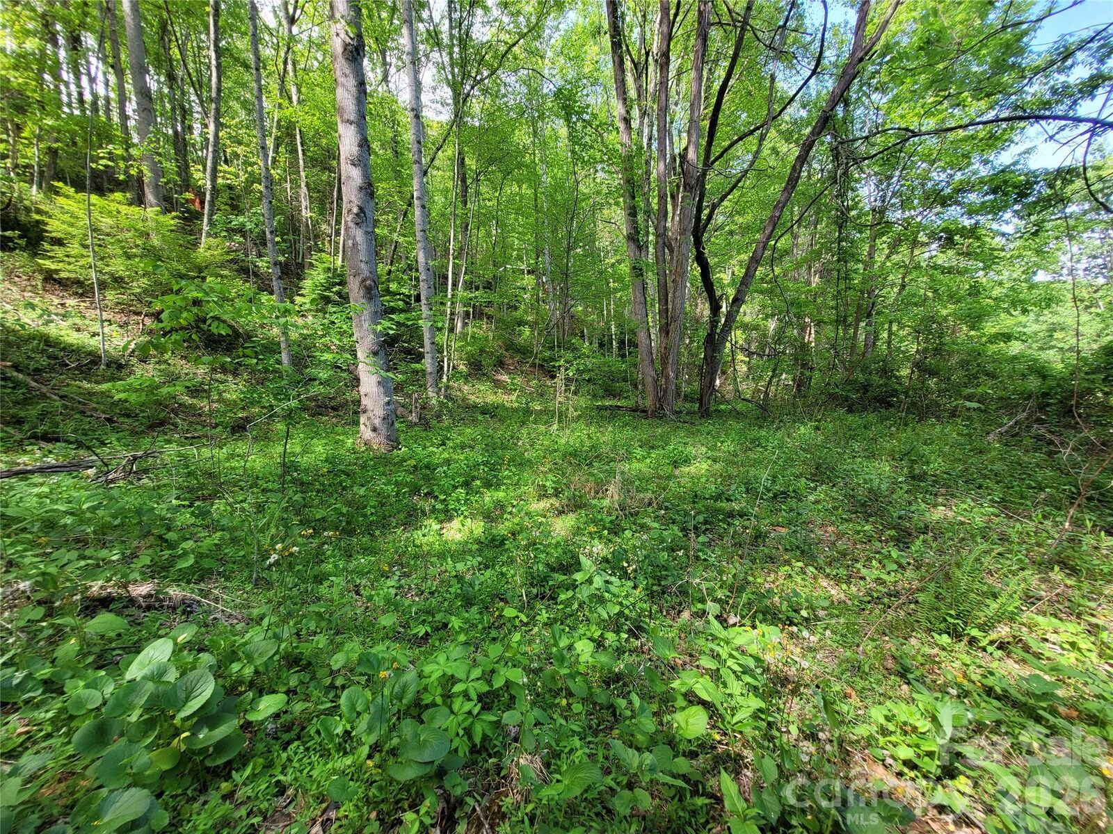 Property Photo:  00 Fox Run  NC 28785 