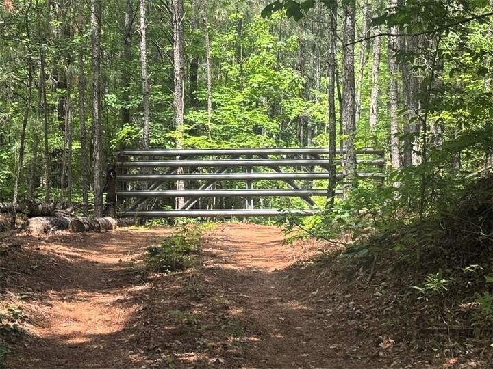 Property Photo:  0 Butler Bridge Road  GA 30252 