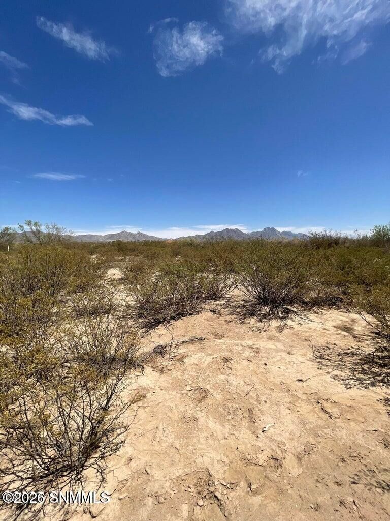 Property Photo:  9357 Rabbit Run Road  NM 88012 
