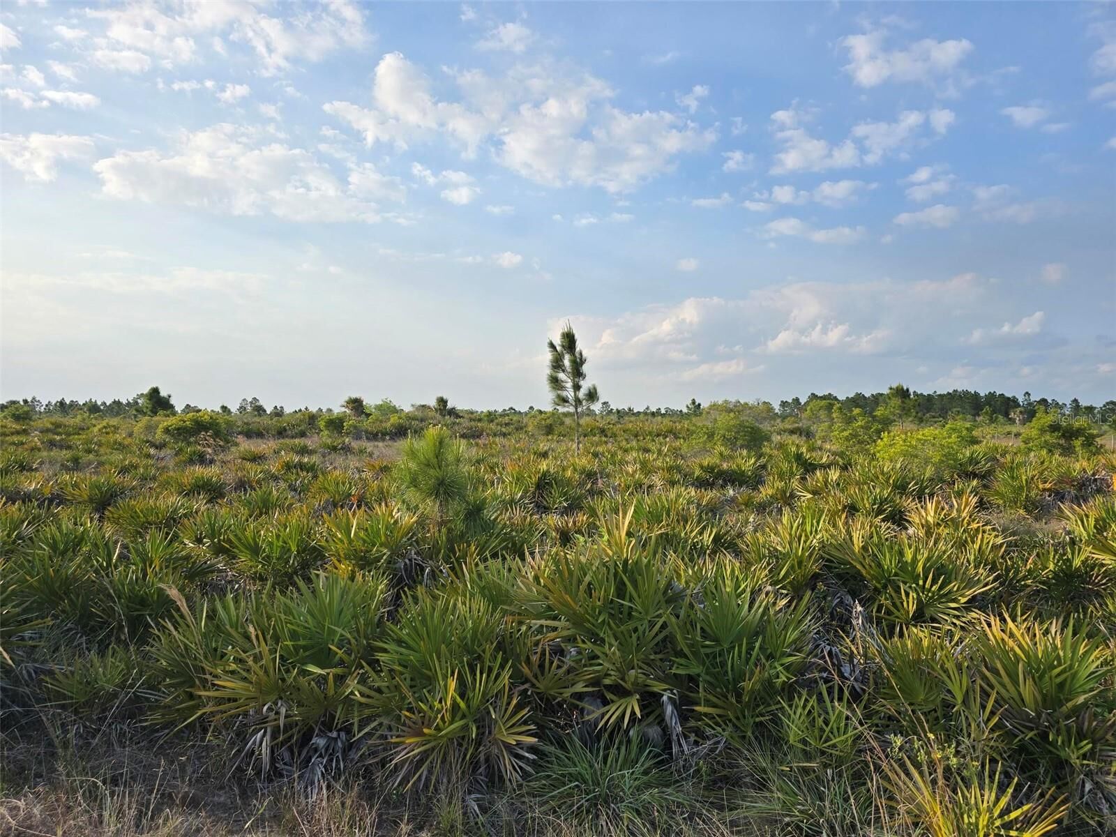 Property Photo:  49173 Bermont Road  FL 33982 