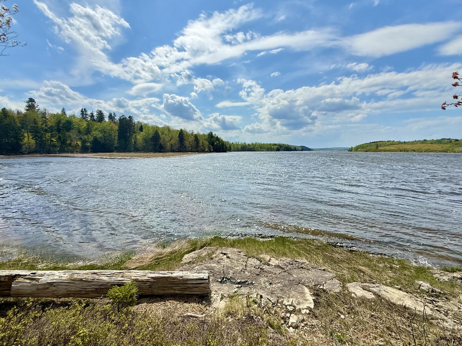 Property Photo:  Lot 5-3 East Palmer Road  ME 04655 