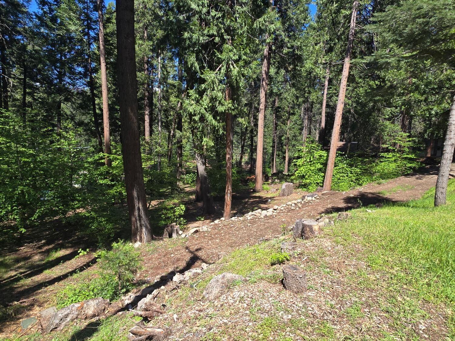 Property Photo:  6771 Onyx Trail  CA 95726 
