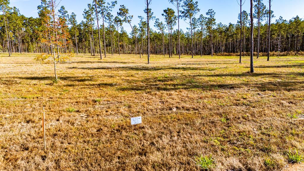 Property Photo:  Lot 20 Big Buck Drive  TX 75960 
