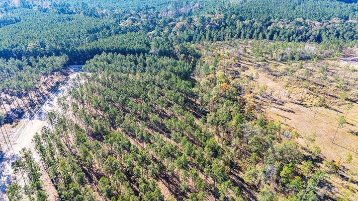 Property Photo:  Lot 12 Big Buck Drive  TX 75960 