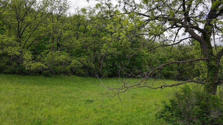 Property Photo:  3.53 County Road F  WI 53517 
