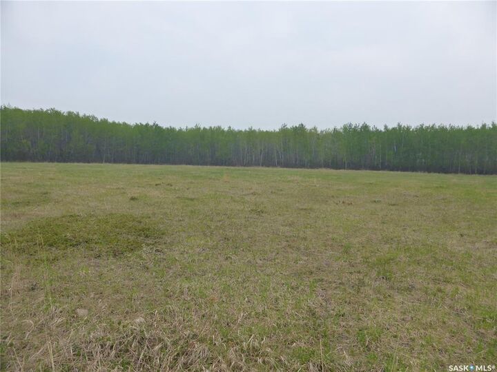 Property Photo:  1 Kopp Drive  SK S0M 1J0 